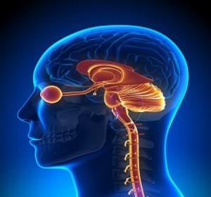 Neuro Ophthalmology Doctor in Delhi | Neuro Ophthalmologist
